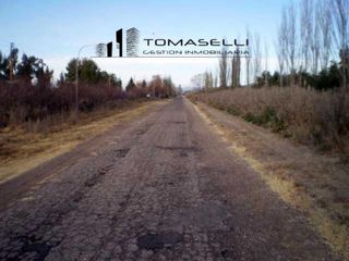 Foto 15 de VENTA - FINCA CON CASA Y PLANTACION- RAMA CAIDA - MENDOZA