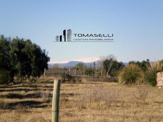 Foto 16 de VENTA - FINCA CON CASA Y PLANTACION- RAMA CAIDA - MENDOZA