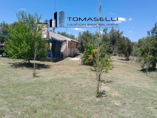 Foto 6 de VENTA - FINCA CON CASA Y PLANTACION- RAMA CAIDA - MENDOZA