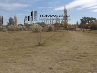 Foto 4 de VENTA - FINCA CON CASA Y PLANTACION- RAMA CAIDA - MENDOZA