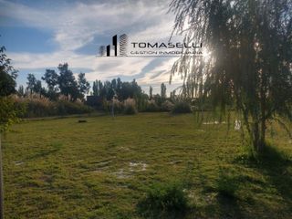 Foto 3 de VENTA - FINCA CON CASA Y PLANTACION- RAMA CAIDA - MENDOZA