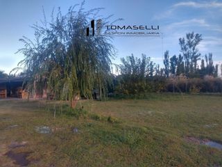 Foto 13 de VENTA - FINCA CON CASA Y PLANTACION- RAMA CAIDA - MENDOZA