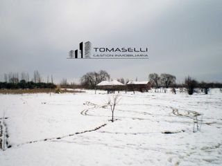 Foto 18 de VENTA - FINCA CON CASA Y PLANTACION- RAMA CAIDA - MENDOZA