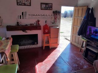 Foto 9 de VENTA - FINCA CON CASA Y PLANTACION- RAMA CAIDA - MENDOZA