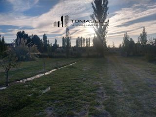 Foto 2 de VENTA - FINCA CON CASA Y PLANTACION- RAMA CAIDA - MENDOZA