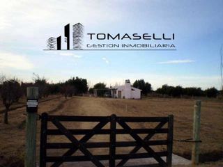 Foto 5 de VENTA - FINCA CON CASA Y PLANTACION- RAMA CAIDA - MENDOZA