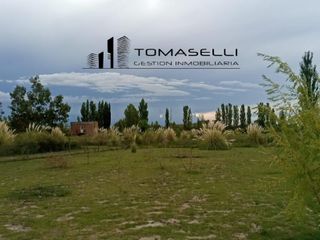 Foto 14 de VENTA - FINCA CON CASA Y PLANTACION- RAMA CAIDA - MENDOZA