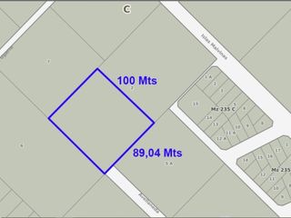 Foto 2 de GRAN LOTE EN AVELLANEDA 3600- Casi 9.000 mt2 para disfrutar