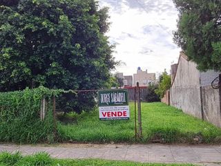 lote de 8,66 x 47,95