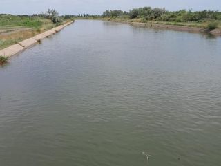 Foto 3 de Chacra en zona de Valle Medio
