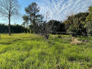 Foto 6 de Importante propiedad a la venta en Garín
