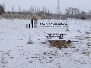 Foto 19 de VENTA - FINCA CON CASA Y PLANTACION- RAMA CAIDA - MENDOZA