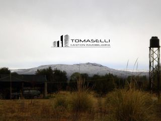 Foto 1 de VENTA - FINCA CON CASA Y PLANTACION- RAMA CAIDA - MENDOZA