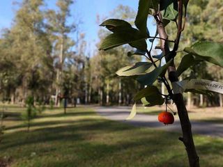 Foto 10 de Terreno - Campo Timbo - Golf - Tenis - Spa