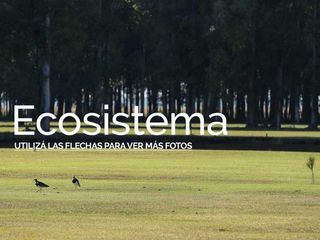 Foto 9 de Terreno - Campo Timbo - Golf - Tenis - Spa