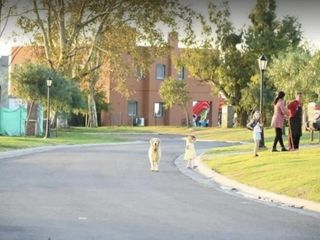 Foto 4 de Terreno venta 627mts2 - San Sebastián, Escobar