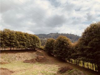 Lote Parcelacion Via Las Palmas Los Salados (Retiro)