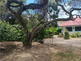 Foto 23 de VENDO FINCA HOTEL EN TOCAIMA -CUNDINAMARCA