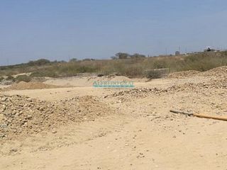 Foto 4 de Terrenos Agricolas Venta CAL. Parcela  - SULLANA
