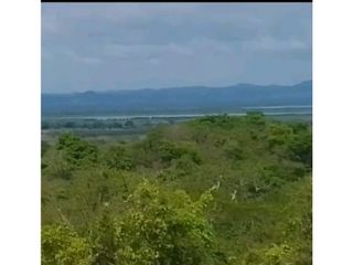 Venta de hermosa Finca Ganadera  400 hectáreas vía Rocha Bolívar.