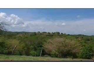 Venta de hermosa Finca Ganadera  400 hectáreas vía Rocha Bolívar.