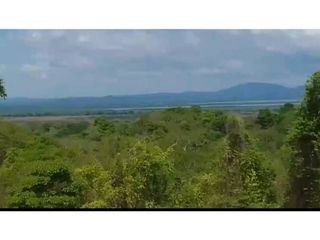 Venta de hermosa Finca Ganadera  400 hectáreas vía Rocha Bolívar.