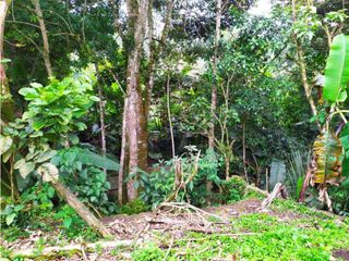 Foto 39 de VENDO CASA CON LOTE. REA 672 m2  PACHO CUNDINAMARCA