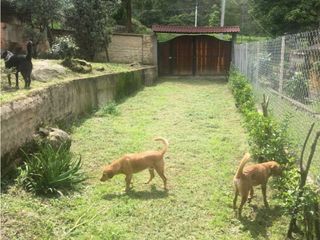 Foto 3 de VENDO CASA CON LOTE. REA 672 m2  PACHO CUNDINAMARCA