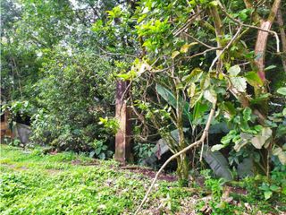 Foto 38 de VENDO CASA CON LOTE. REA 672 m2  PACHO CUNDINAMARCA