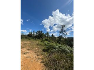 SE VENDE LOTE CAMPESTRE EN EL RETIRO PARCELACION MONTESERENO