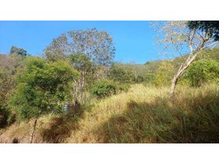 Foto 20 de Casa lote en Apulo .. Precio Económico Ganga