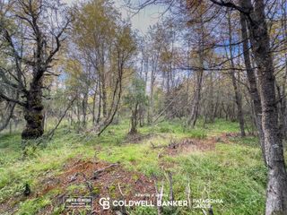 Foto 22 de VENTA Lote/Terreno Financiado 228m2 UF 2C Las Balsas Villa la Angostura