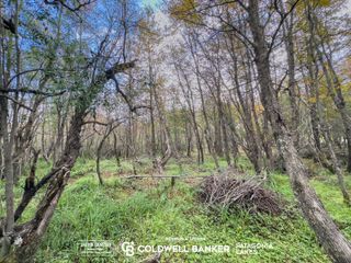 Foto 4 de VENTA Lote/Terreno Financiado 228m2 UF 2C Las Balsas Villa la Angostura