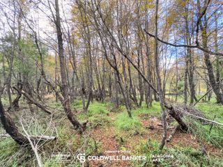 Foto 6 de VENTA Lote/Terreno Financiado 228m2 UF 2C Las Balsas Villa la Angostura