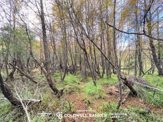 Foto 24 de VENTA Lote/Terreno Financiado 228m2 UF 2C Las Balsas Villa la Angostura