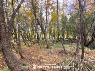 Foto 9 de VENTA Lote/Terreno Financiado 228m2 UF 2C Las Balsas Villa la Angostura