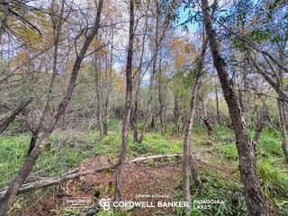 Foto 5 de VENTA Lote/Terreno Financiado 228m2 UF 2C Las Balsas Villa la Angostura