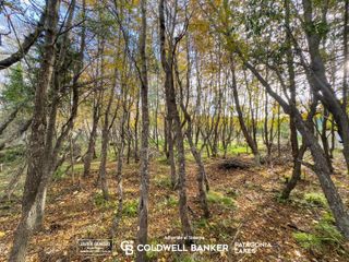 Foto 28 de VENTA Lote/Terreno Financiado 228m2 UF 2C Las Balsas Villa la Angostura