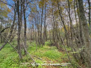 Foto 15 de VENTA Lote/Terreno Financiado 228m2 UF 2C Las Balsas Villa la Angostura