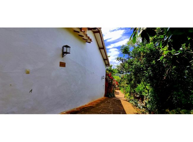 place photo 71