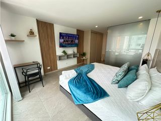 Foto 2 de APARTAESTUDIO AMOBLADO AV CENTENARIO CON PISCINA