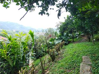 Foto 30 de Vendo Casa Campestre en la Vega Cundinamarca