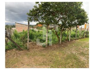 Foto 3 de VENDO LOTE URBANO POR GUAYACANES DEL RIO (PISOJÉ)