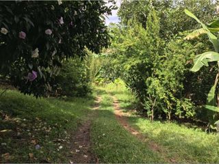 Foto 13 de VENTA PERMUTA DE CASA CAMPESTRE EN PIEDECUESTA COD:268