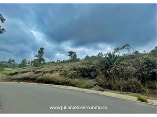 Foto 6 de VENDO/PERMUTO 2 HECTAREAS VA A TOTORÓ (HERMOSA VISTA)