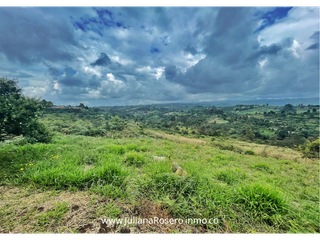 Foto 4 de VENDO/PERMUTO 2 HECTAREAS VA A TOTORÓ (HERMOSA VISTA)