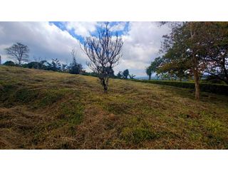 Se vende Lote con espectacular vista cerca del Parque del Café