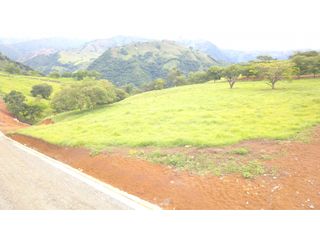 Foto 8 de Lote Bolombolo (Suroeste Antioqueño)