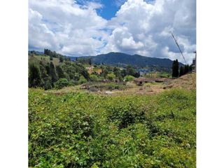 Foto 6 de Venta de Lote Industrial construibles  5165 mts en Guarne