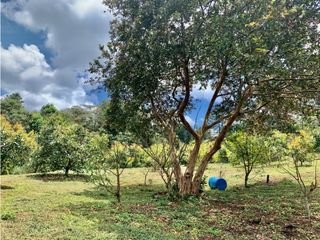 Lote en venta en Rionegro sector Vereda El Tablazo